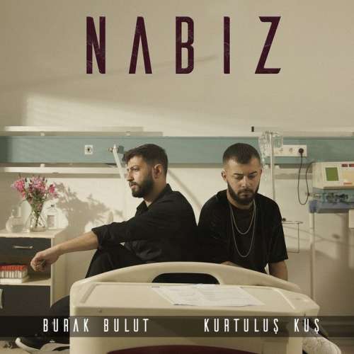 Nabız